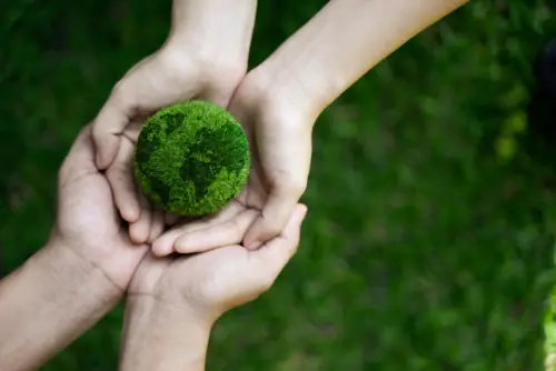 Environmental (E):